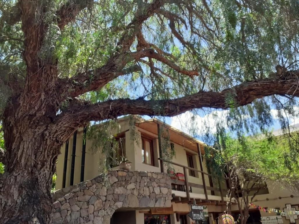 Habitación deluxe con cama grande